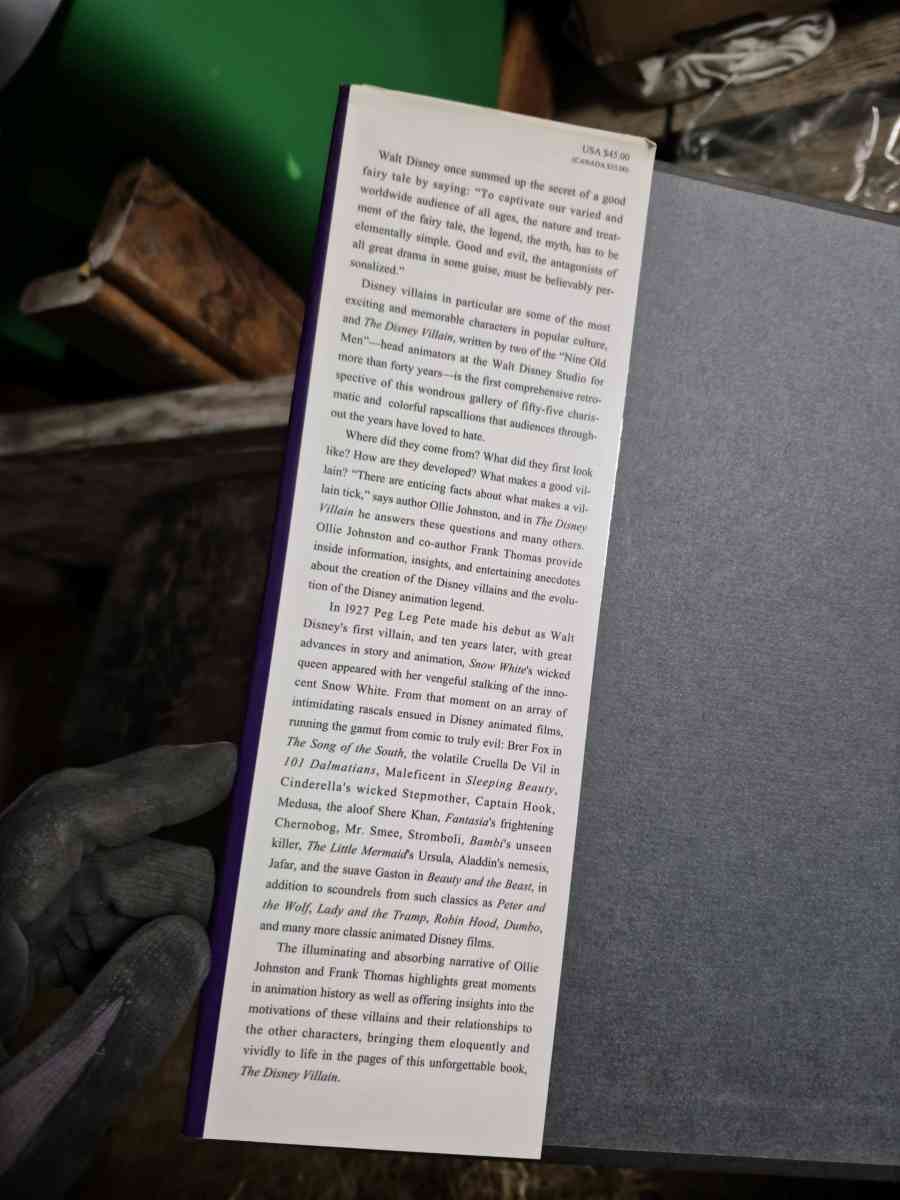 the Book Disney villain - Warrenton, Missouri - FleaMarketBay