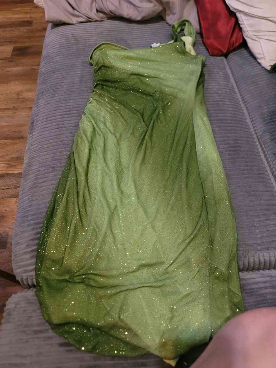 green dress - Chiefland, Florida