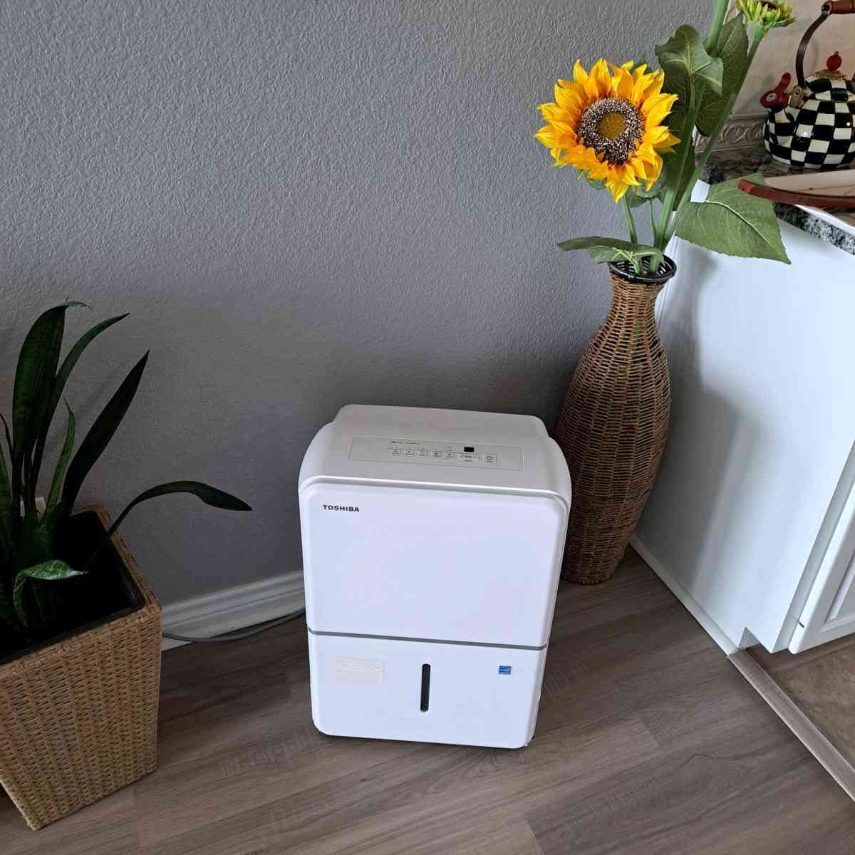 Brand new humidifier - Belton, Texas