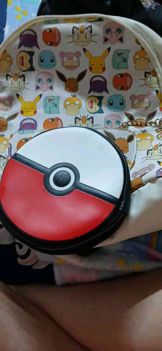 Pokmon book bag - Winter Haven, Florida - FleaMarketBay