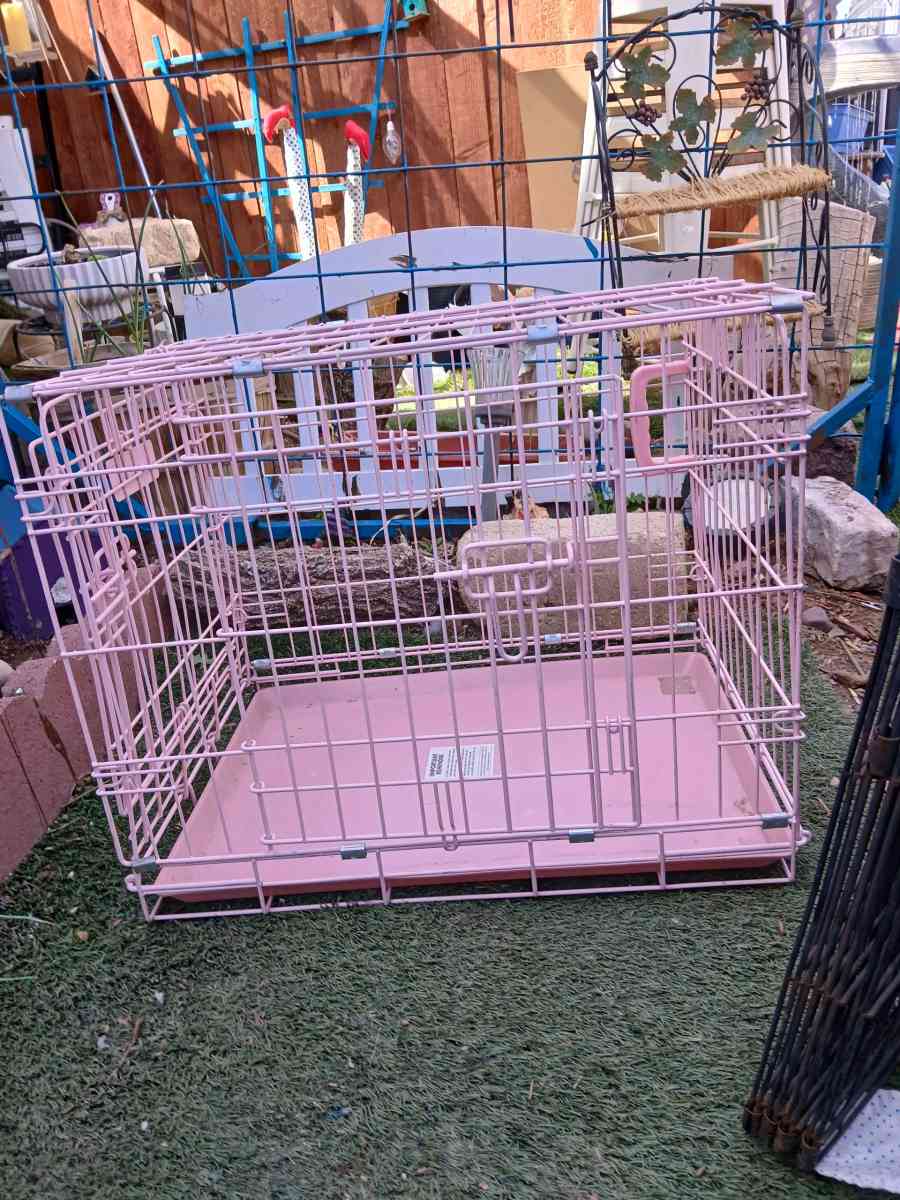 pink dog creat - Henderson, Nevada