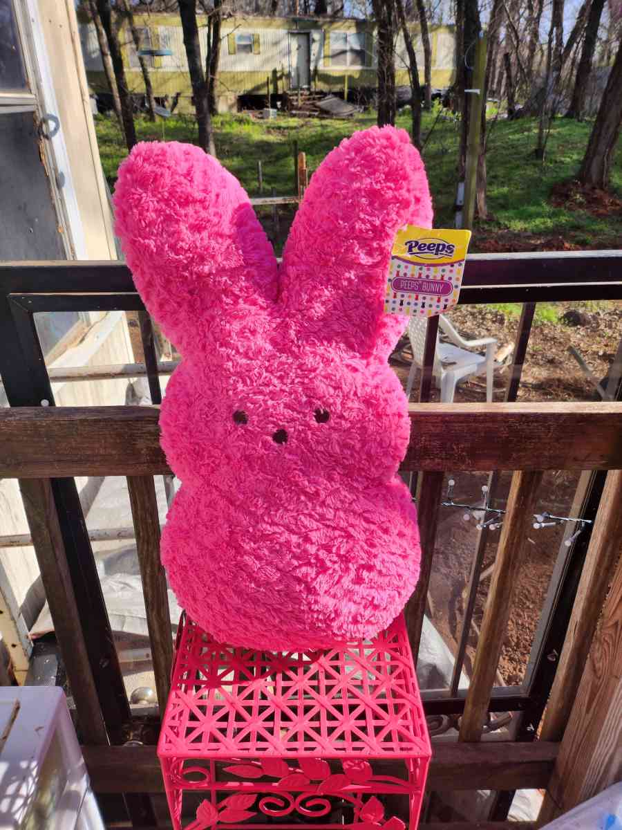 giant peep 20 in - Edmond, Oklahoma - FleaMarketBay