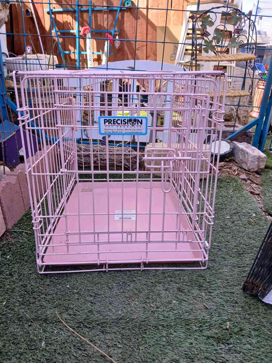 pink dog creat - Henderson, Nevada - FleaMarketBay