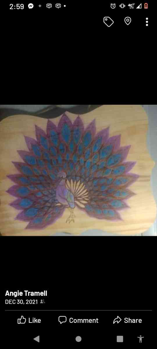 pyrography - Hot Springs National Park, Arkansas - FleaMarketBay