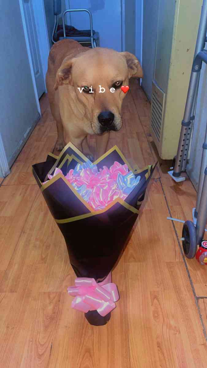 eternal flowers - Imperial, California