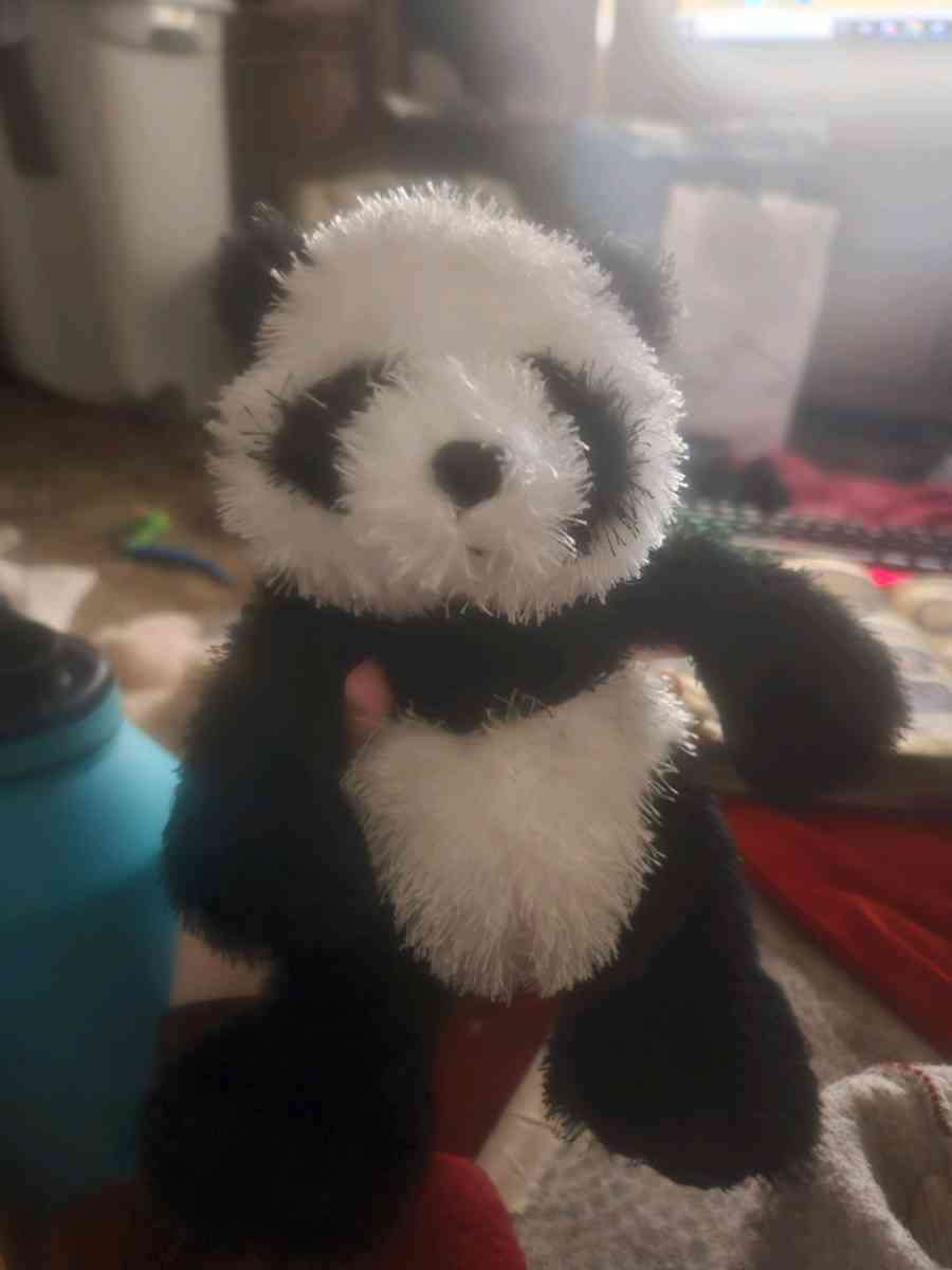 panda - Dorothy, West Virginia