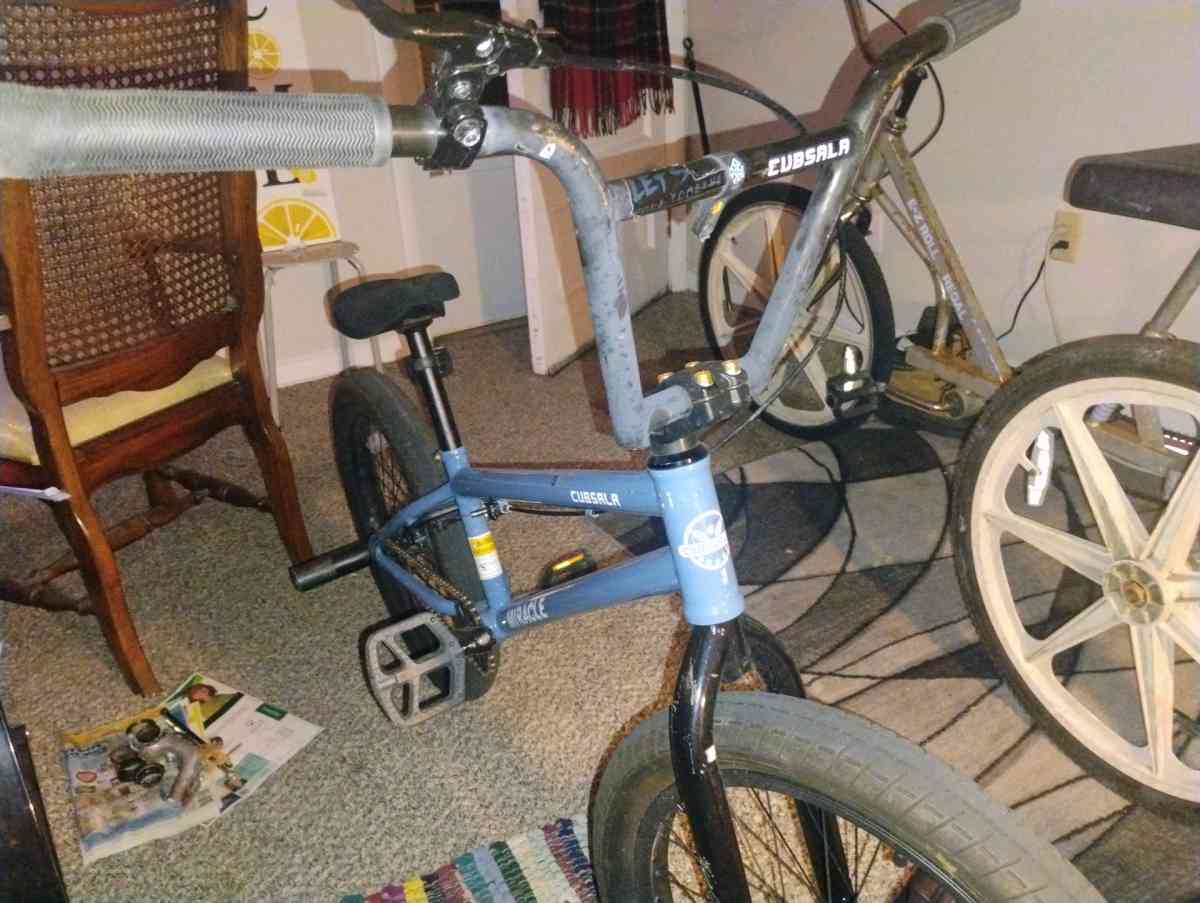 Cubsala Miracle - Millville, New Jersey - FleaMarketBay