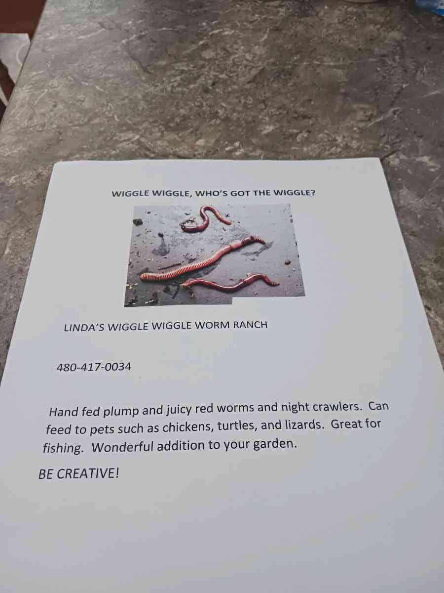Garden worms - Mayer, Arizona