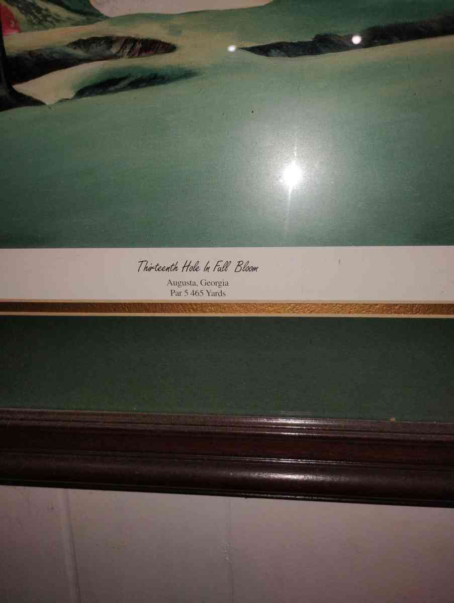 Thirteenth Hole In Full Bloom - Florence, South Carolina - FleaMarketBay