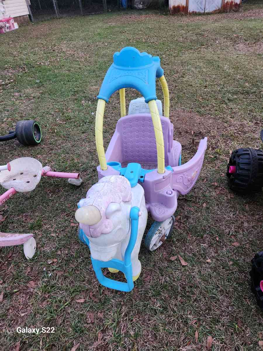 Magical Unicorn Carriage - Slocomb, Alabama