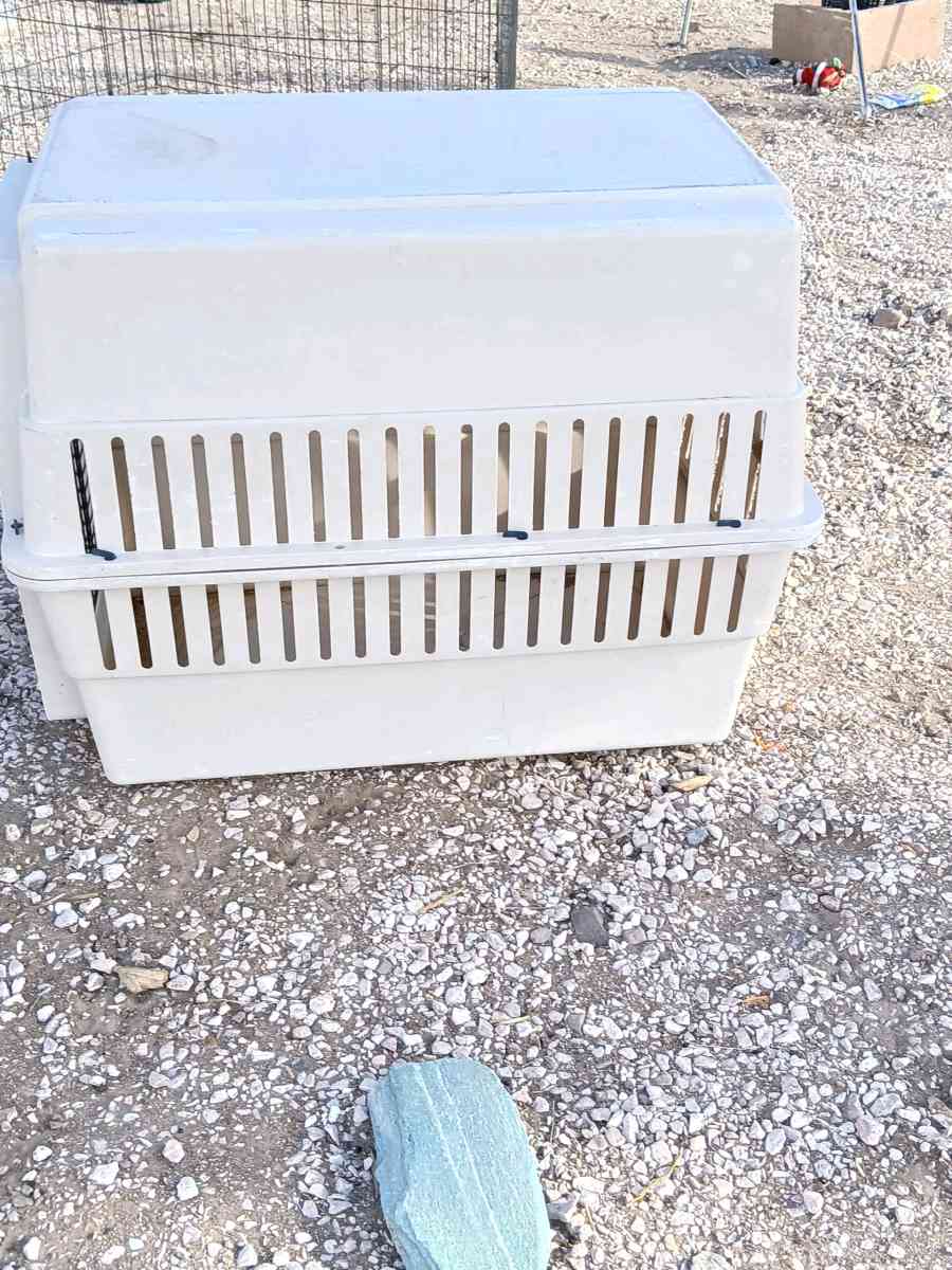 Xtra large dog crate - Henderson, Nevada - FleaMarketBay