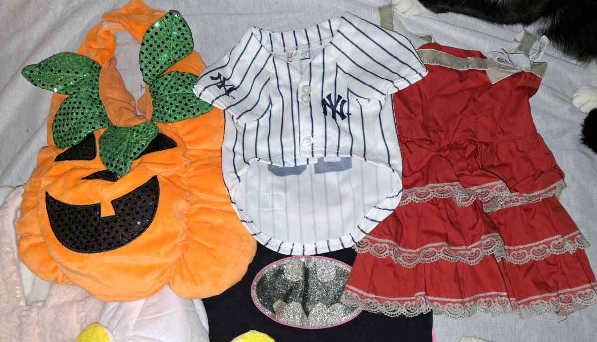 dog clothes - Alicia, Arkansas - FleaMarketBay