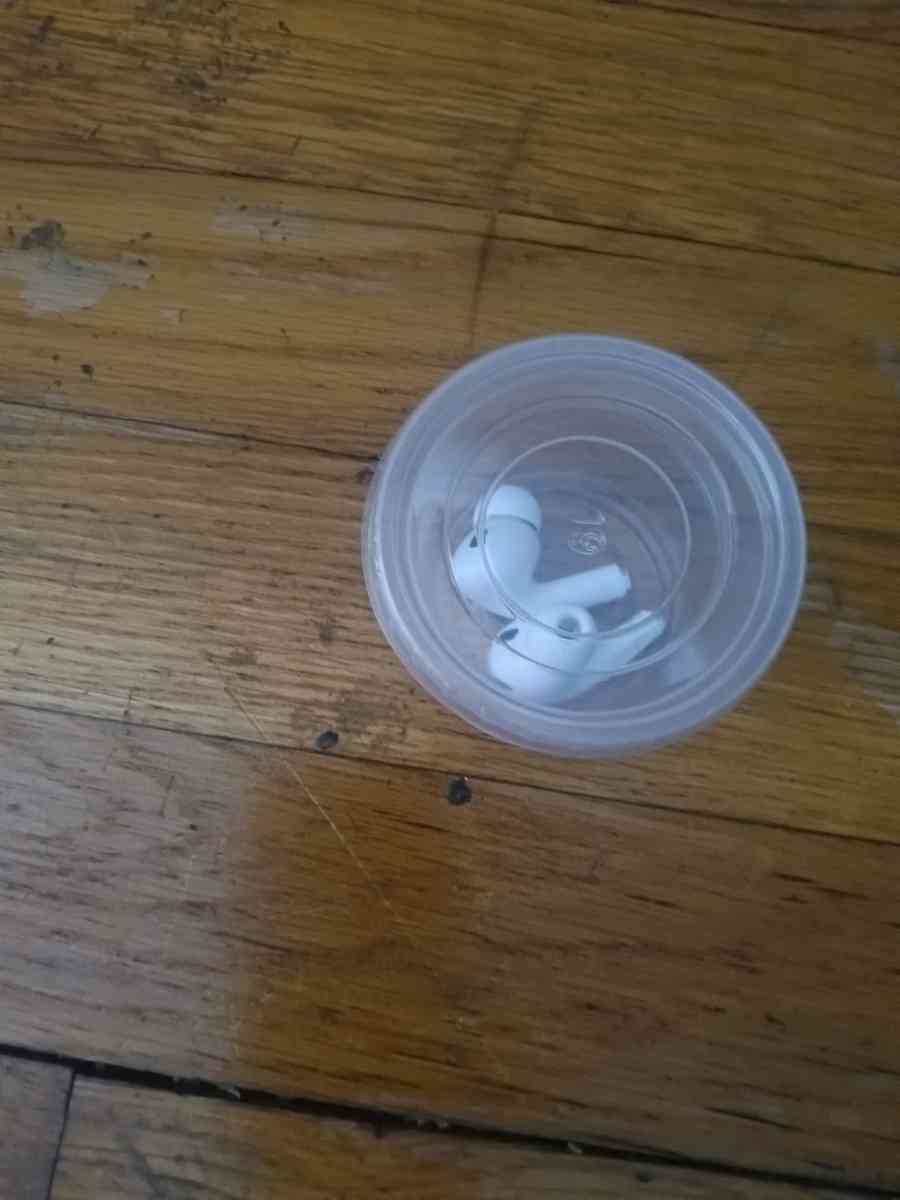 APPLE Airpod Pro 2s NO CASE - Charlotte, North Carolina - FleaMarketBay