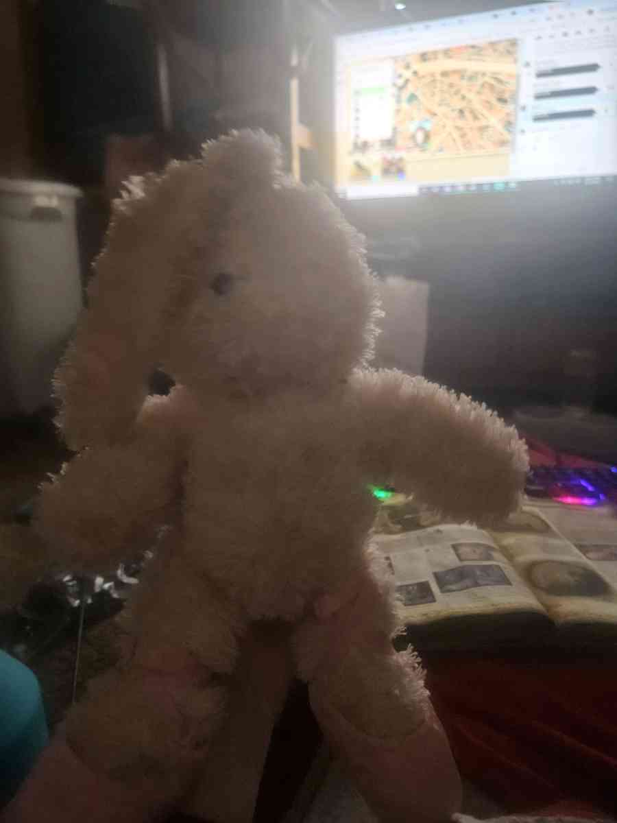 bunny - Dorothy, West Virginia