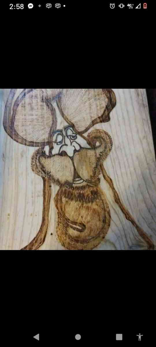 pyrography - Hot Springs National Park, Arkansas - FleaMarketBay