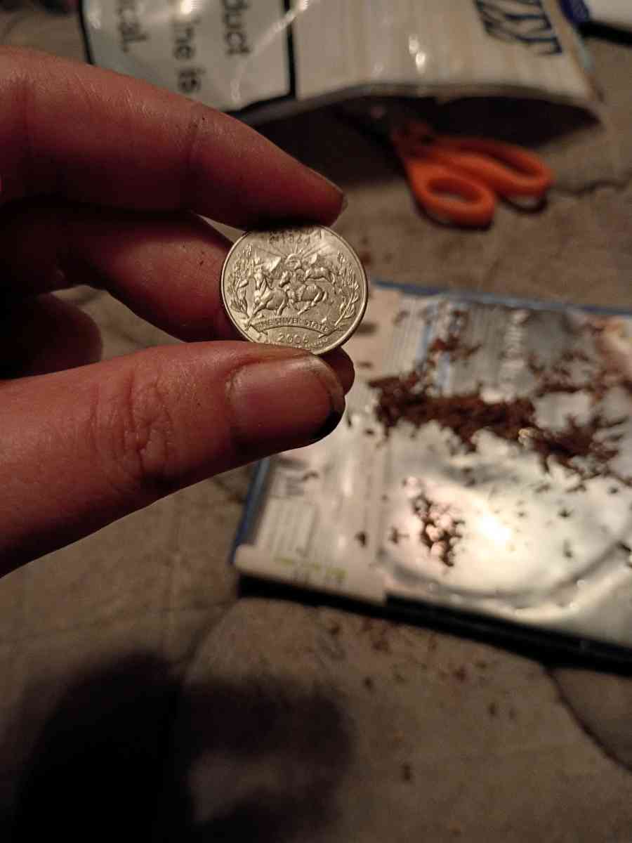 old 2006 Nebraska and Nevada quaters - Fayetteville, North Carolina - FleaMarketBay