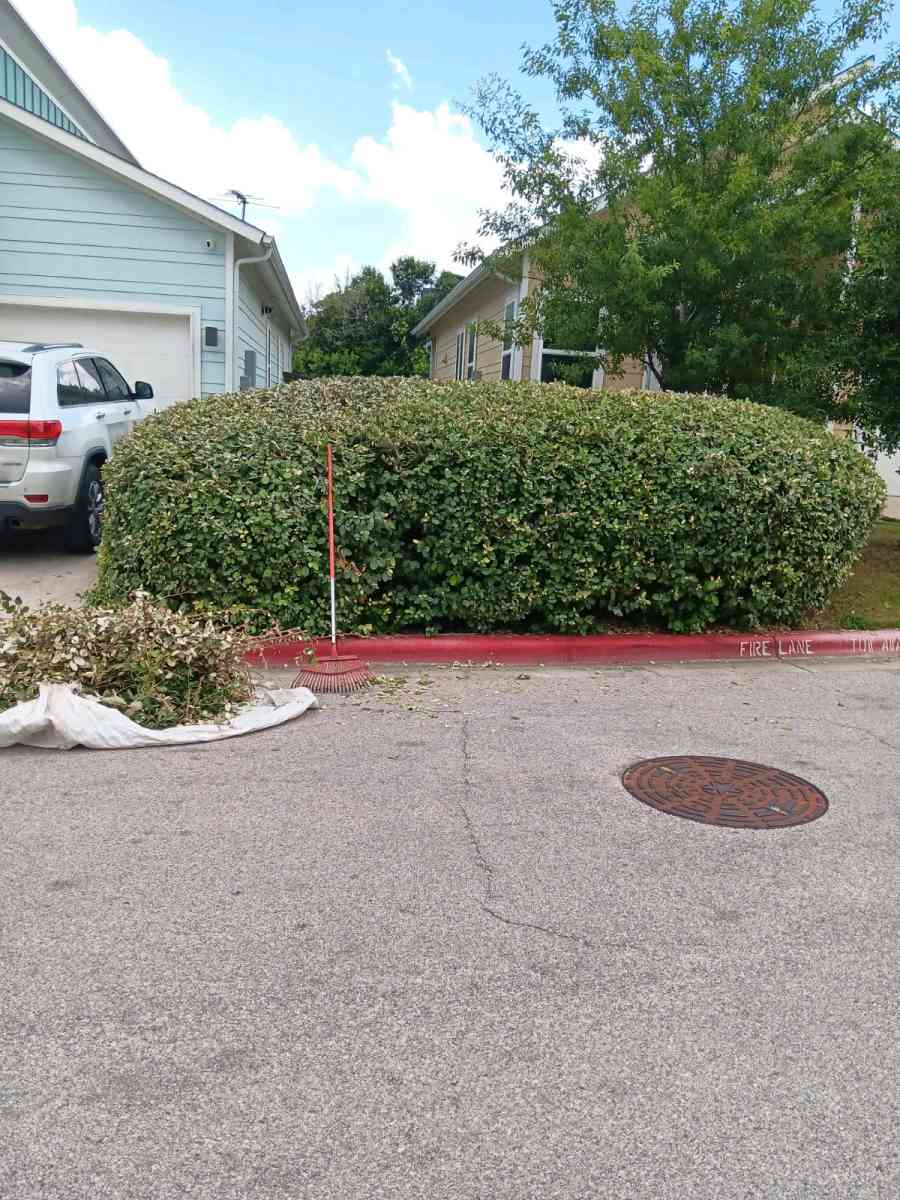 lawns - Austin, Texas - FleaMarketBay