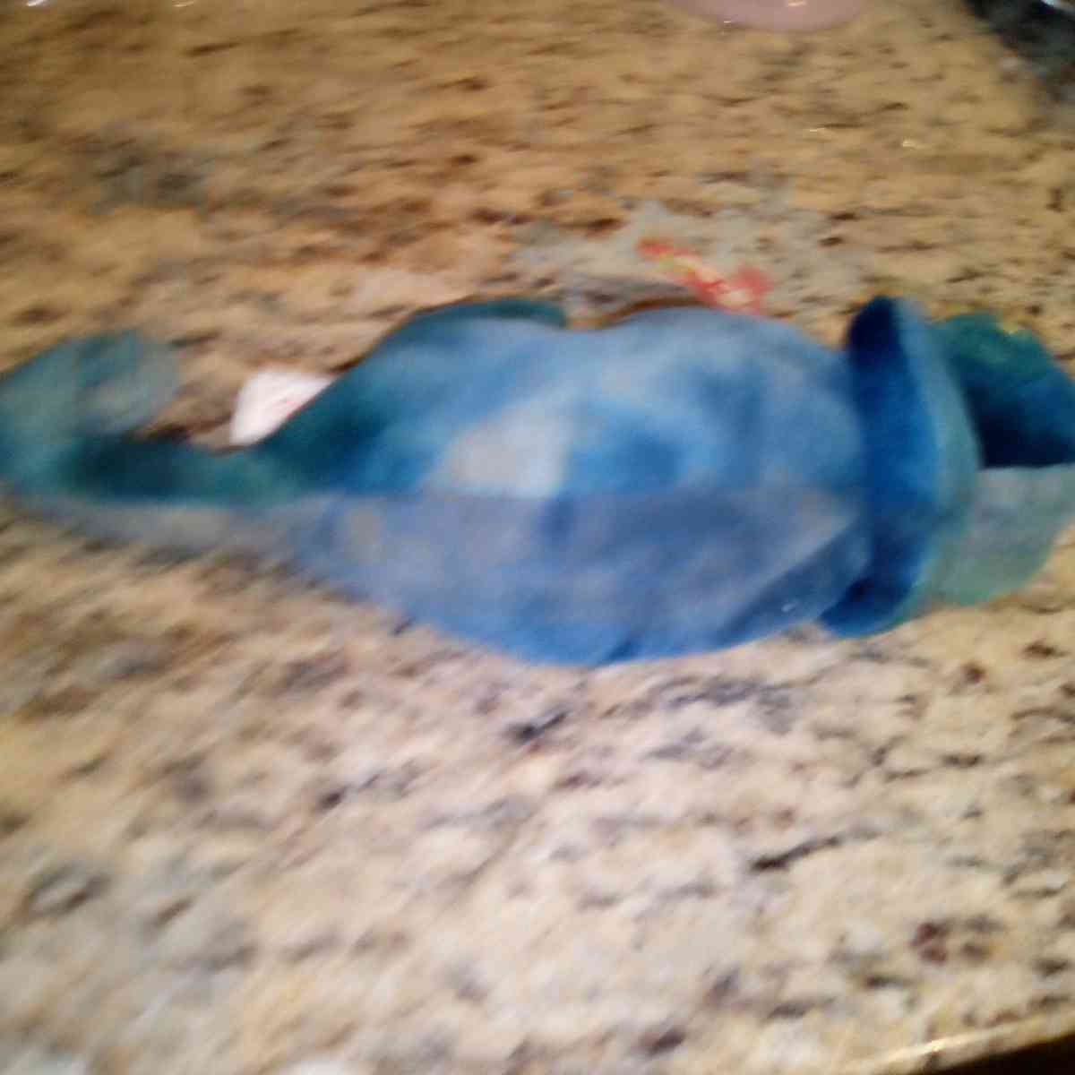 ty RAINBOW Beenie baby - Mesa, Arizona - FleaMarketBay