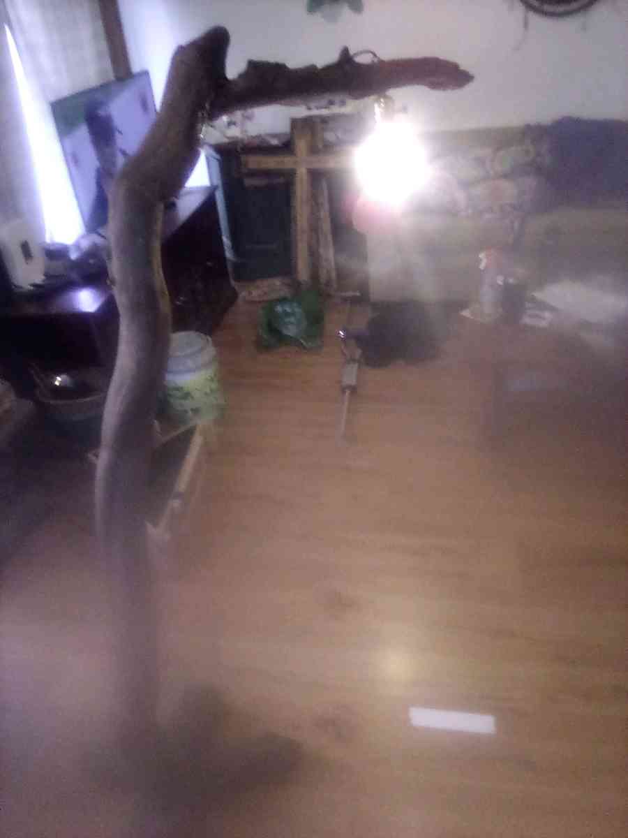 custom driftwood floor lamp - Newport, Oregon - FleaMarketBay