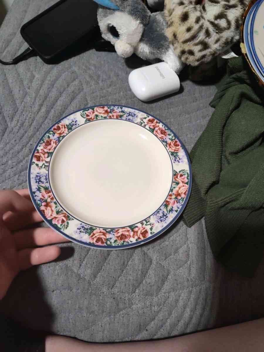 plates - Monmouth, Oregon - FleaMarketBay