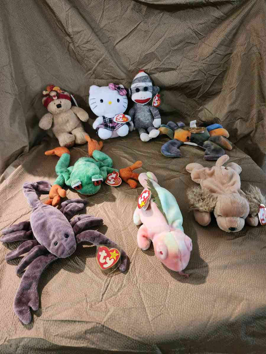 Beanie Babies - Knoxville, Tennessee