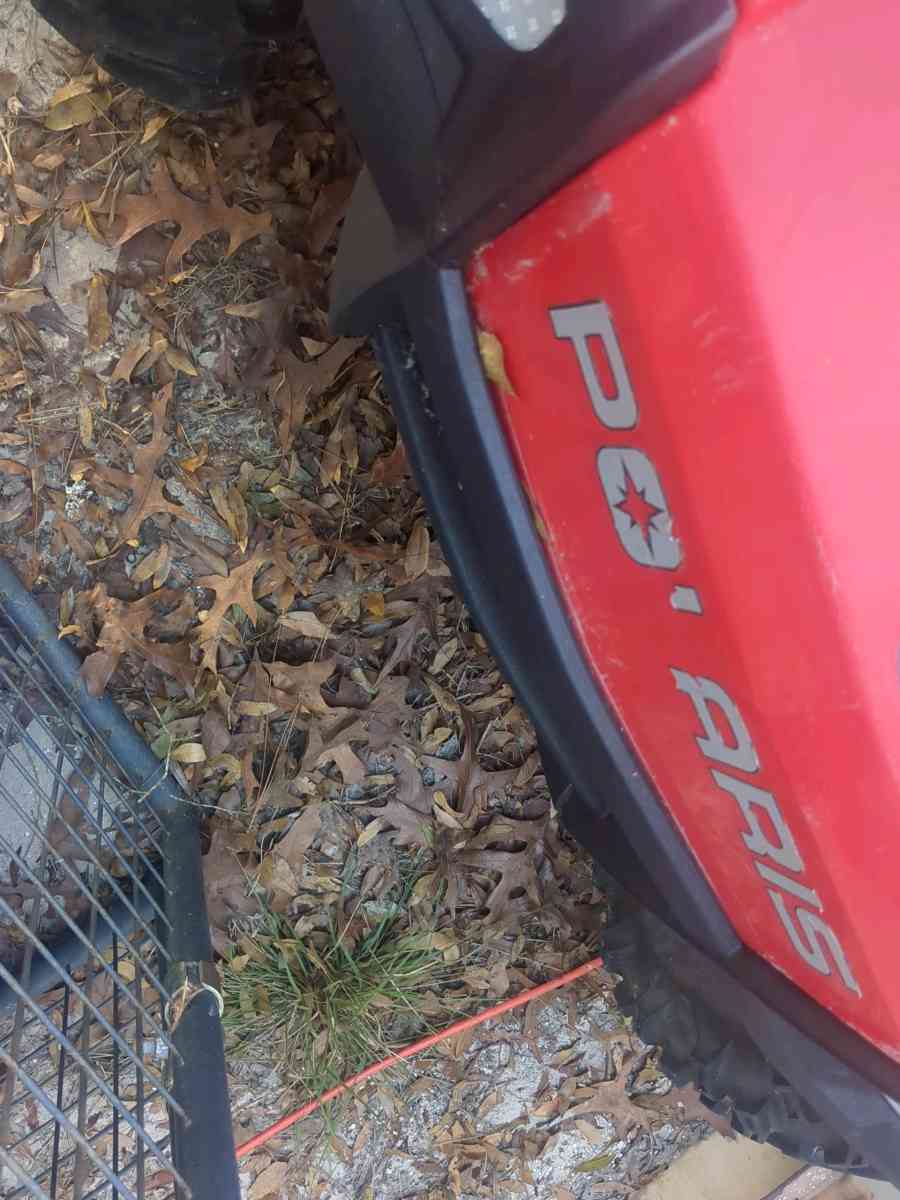 Polaris buggy for kids - Bell, Florida - FleaMarketBay