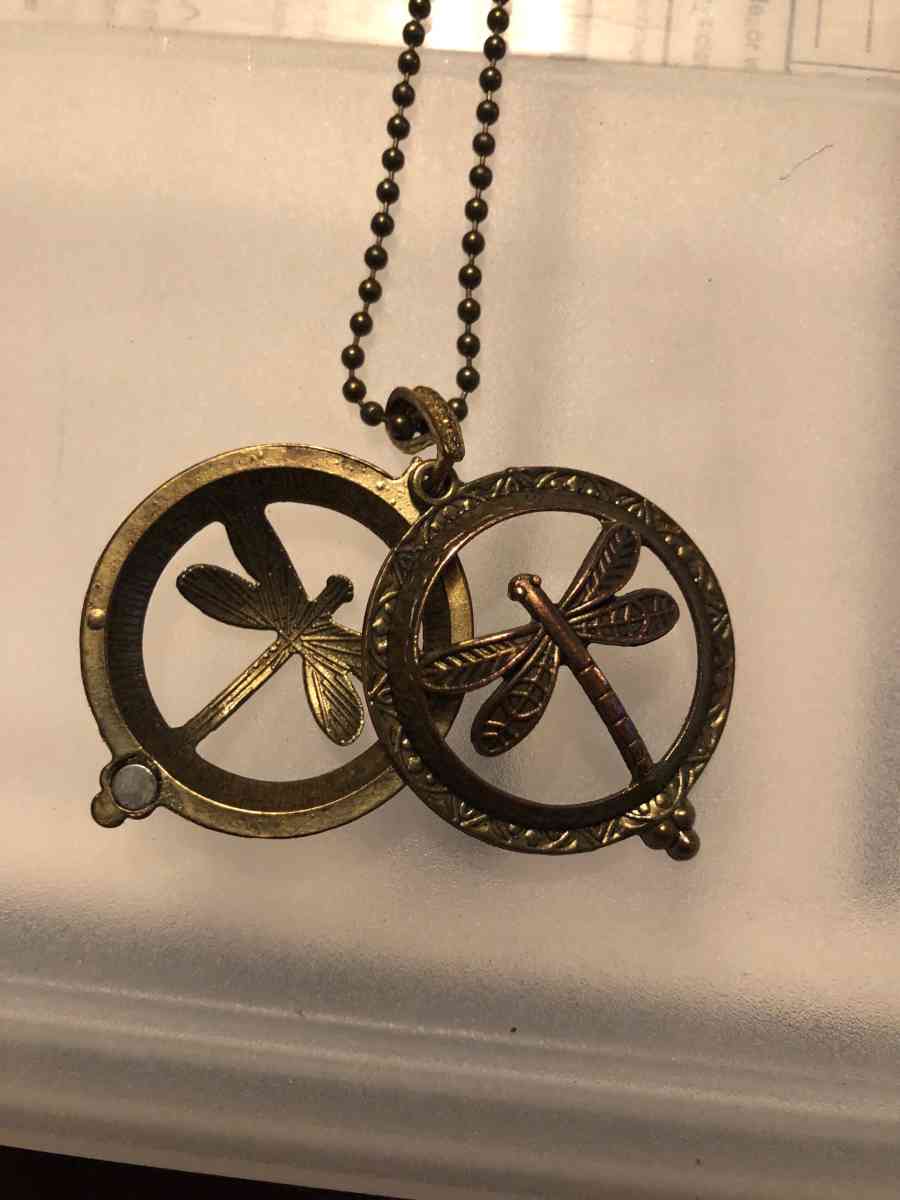 It is a double sided dragonfly magnet - Hartsville, Tennessee