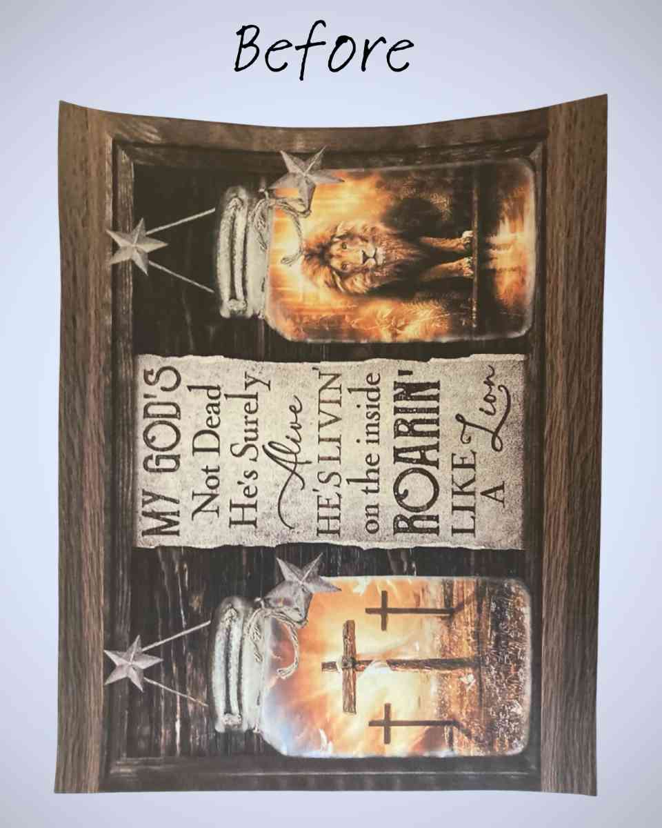 Lion and Lamb In A Jar  Handmade Canvas Art - Princeton, West Virginia - FleaMarketBay