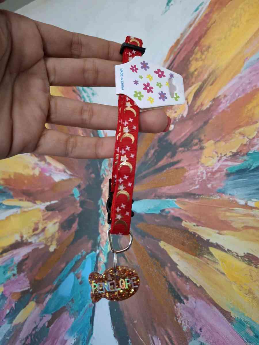 Collar y tag Id personalizados - Fajardo, Puerto Rico - FleaMarketBay