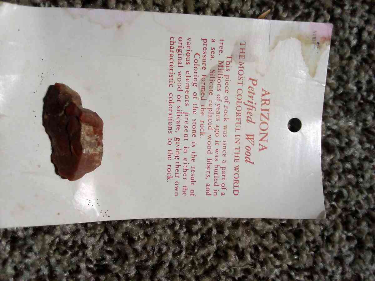 petrified wood - Mc Minnville, Tennessee