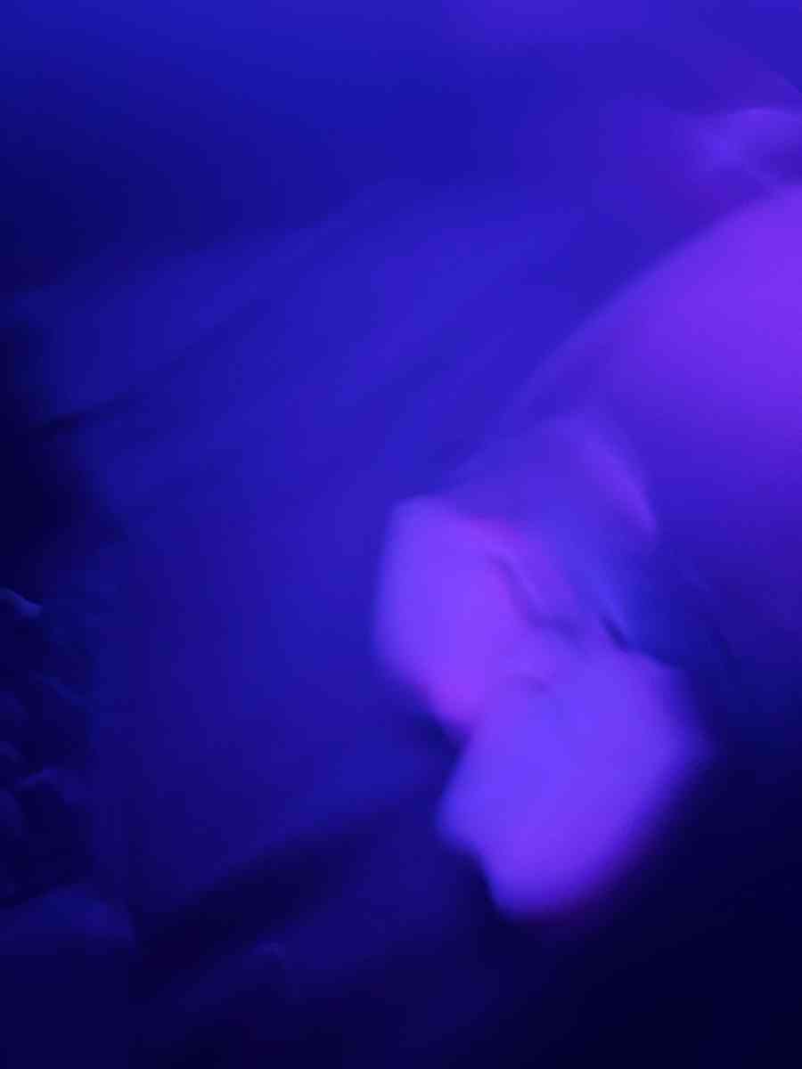 meta quest 3s - Wisconsin Dells, Wisconsin