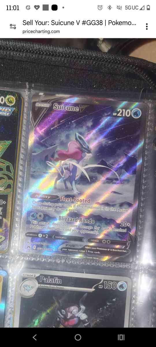 suicine - Myrtle Beach, South Carolina