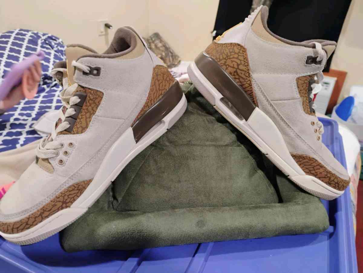 Jordan retro 3 palomino - Toledo, Ohio - FleaMarketBay