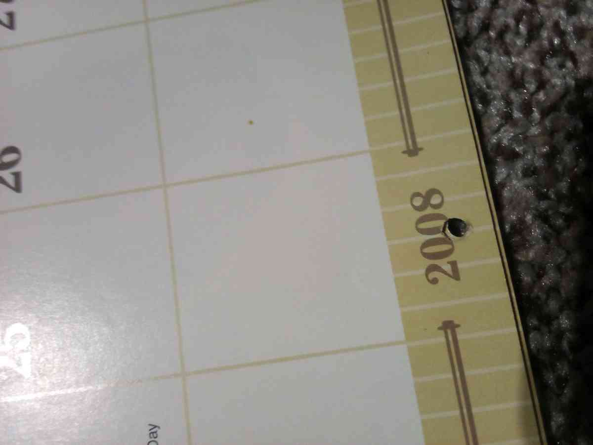 coca cola calender 2008 16 month calender - Mc Minnville, Tennessee - FleaMarketBay