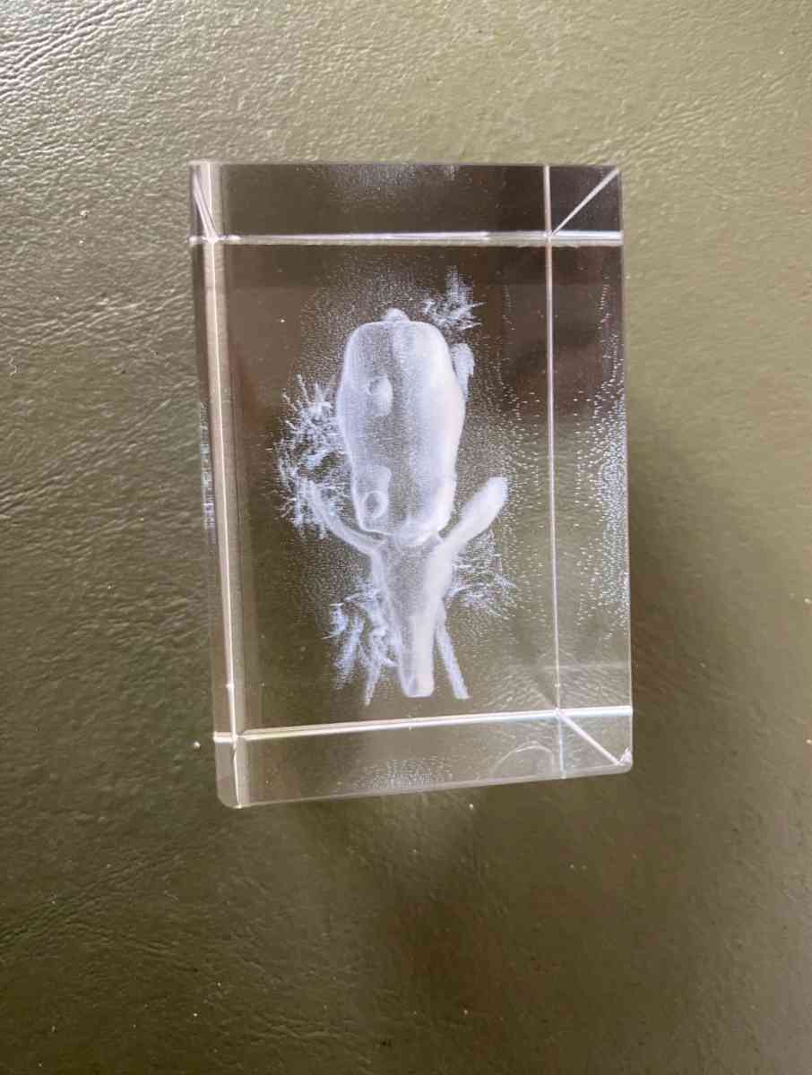 3D elephant cube - San Jose, California - FleaMarketBay