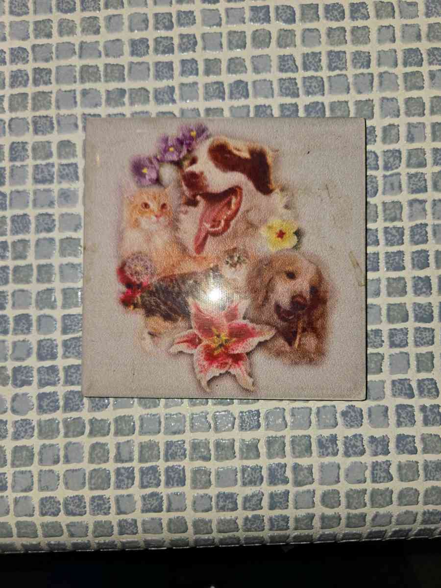 Dogs and Cars Ceramic Tile - Erlanger, Kentucky - FleaMarketBay