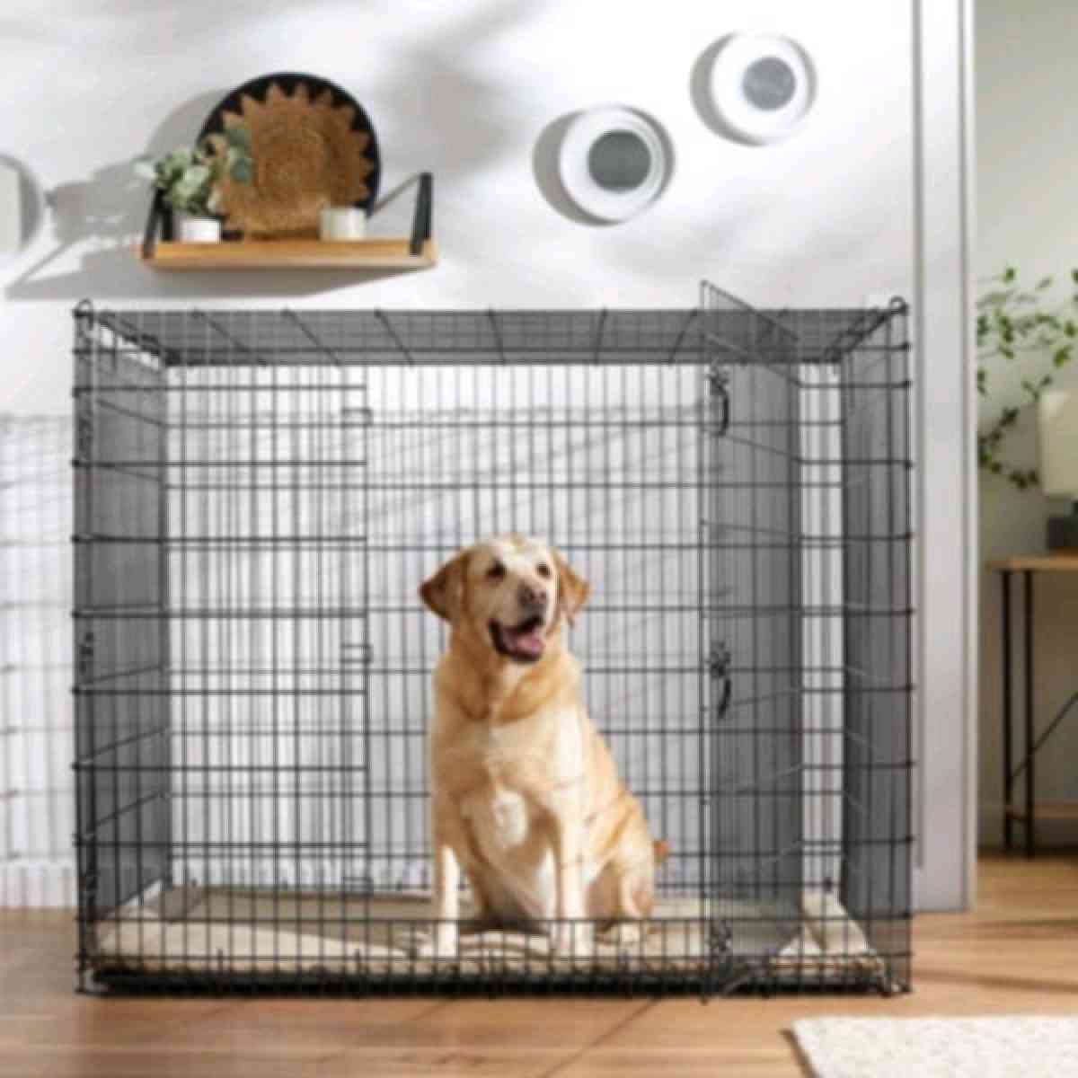chewy large dog cage 36 by 22 - Las Vegas, Nevada - FleaMarketBay