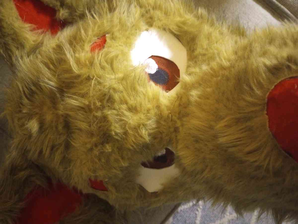 Mascot Wolf Head - Naugatuck, Connecticut - FleaMarketBay