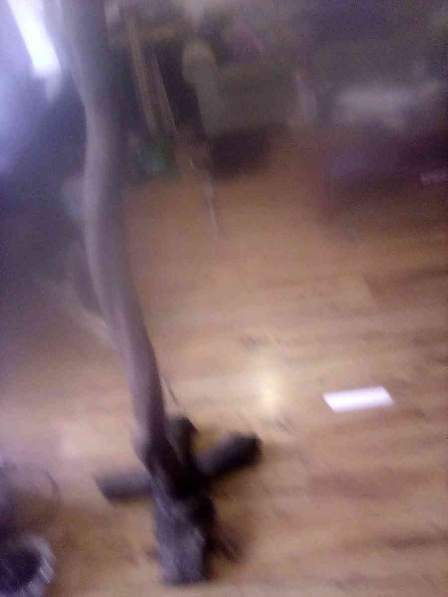 custom driftwood floor lamp - Newport, Oregon - FleaMarketBay