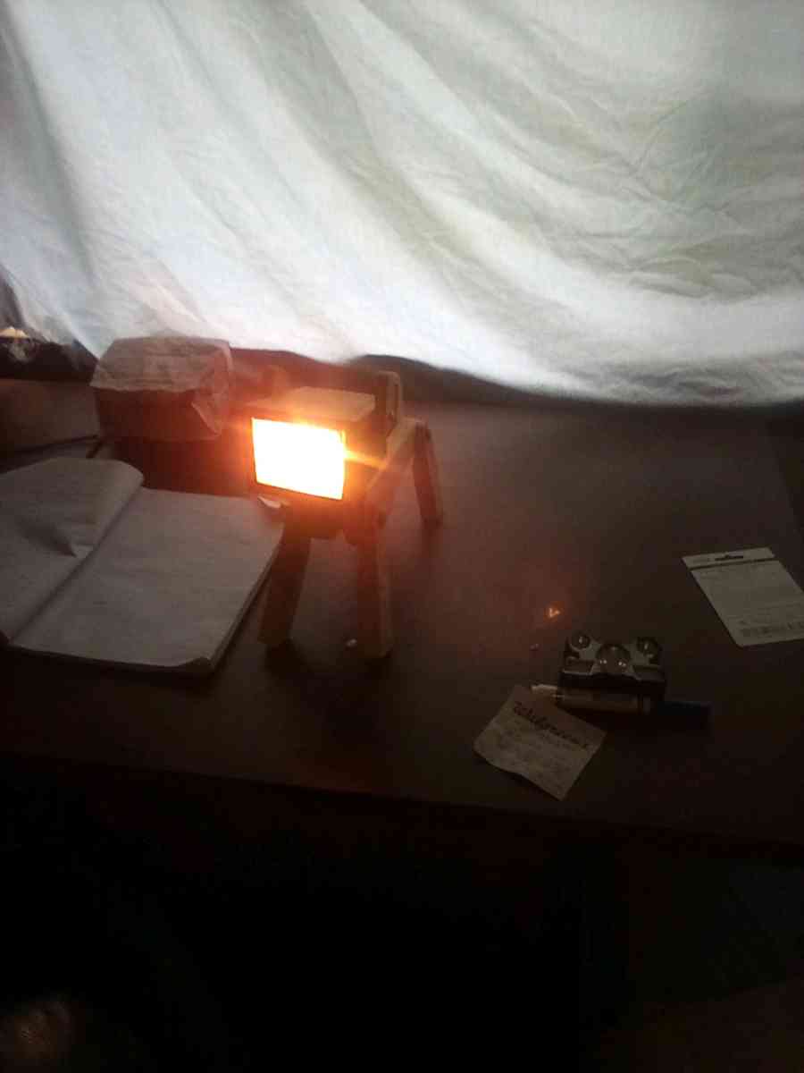 posable dog lamp - Newport, Oregon