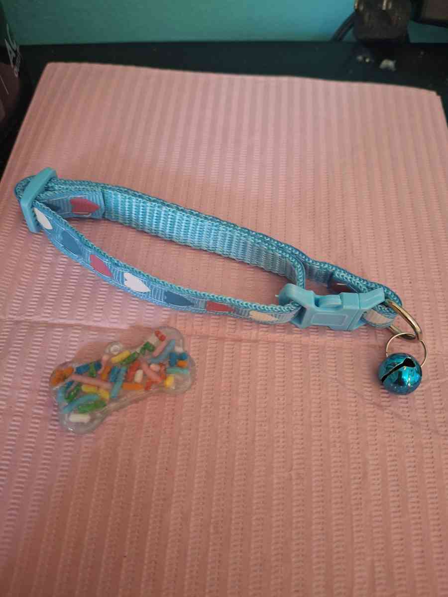 collar y id tag azul