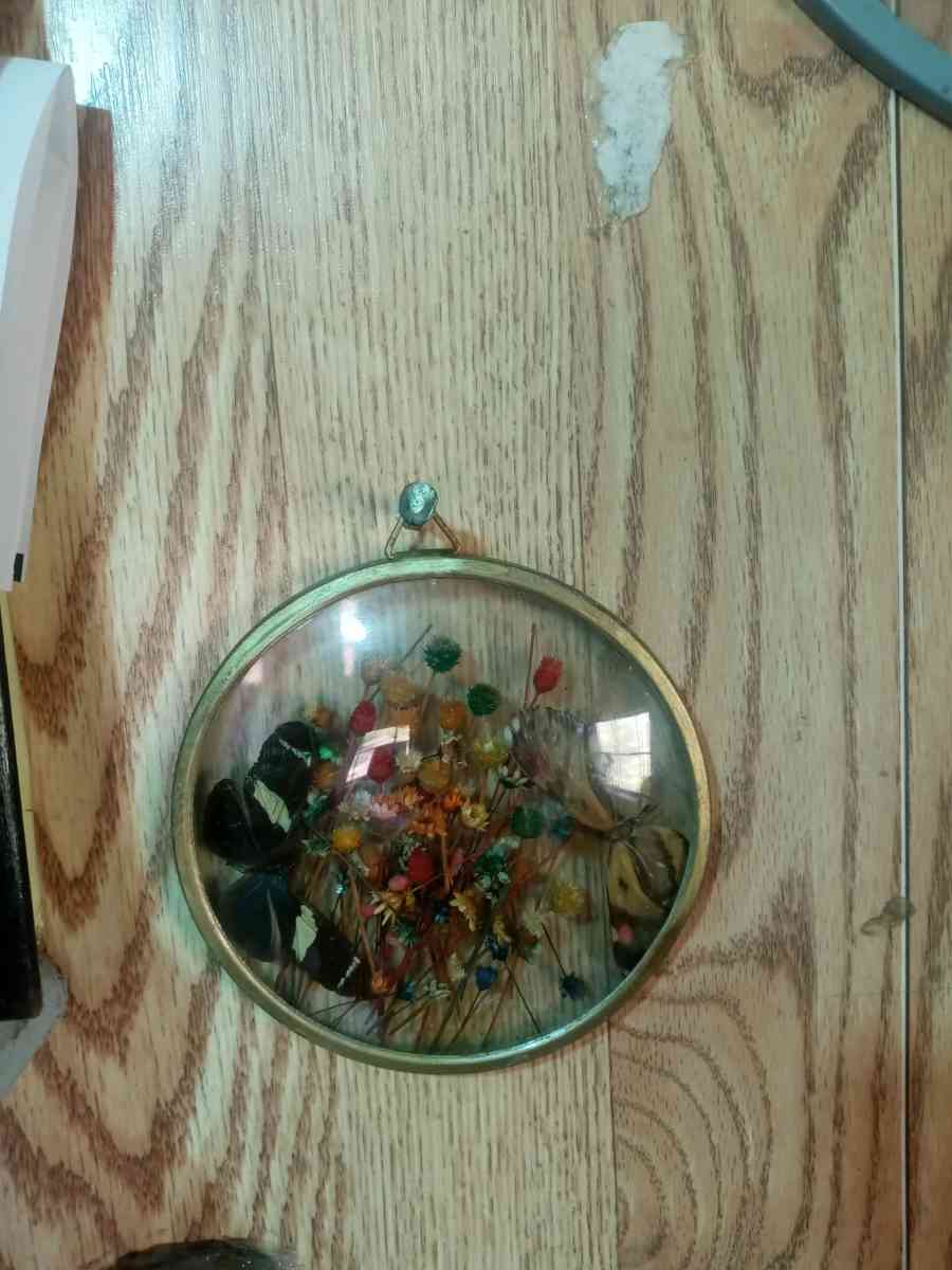 vintage taxidermy art - Rossville, Georgia