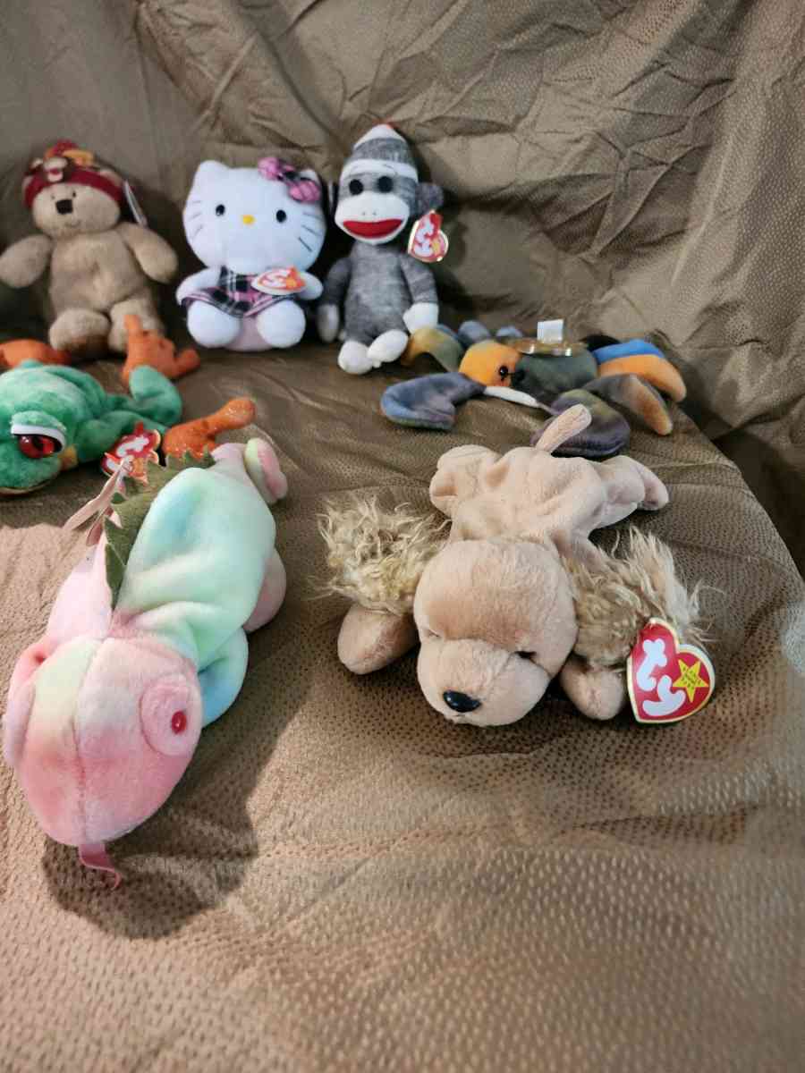 Beanie Babies - Knoxville, Tennessee - FleaMarketBay