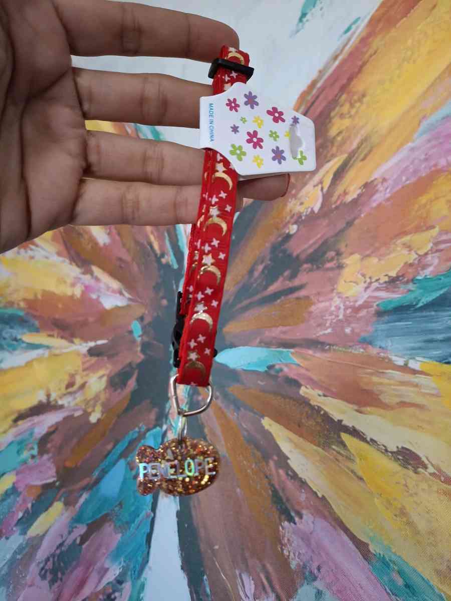 collar y id tag rojo - Fajardo, Puerto Rico - FleaMarketBay