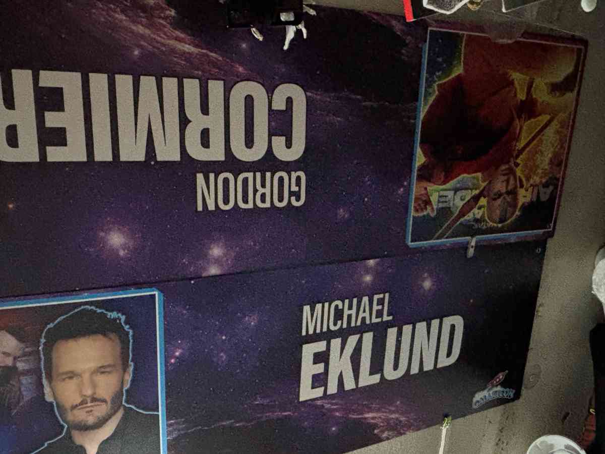 These are big panels signed by the actress or voice actor - Zebulon, North Carolina - FleaMarketBay