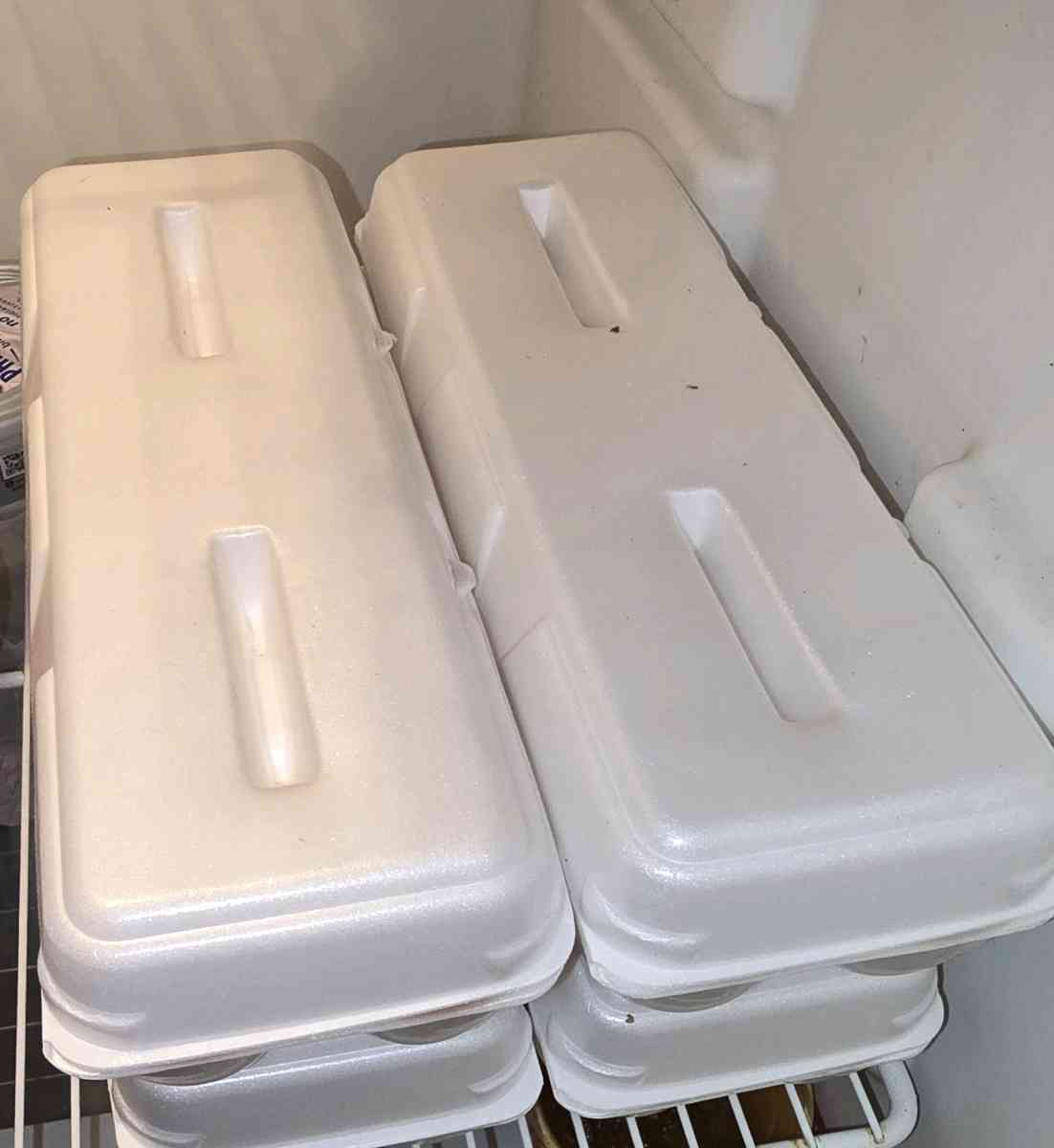 Fresh Fresh ferterilized eggs - Gainesville, Florida - FleaMarketBay