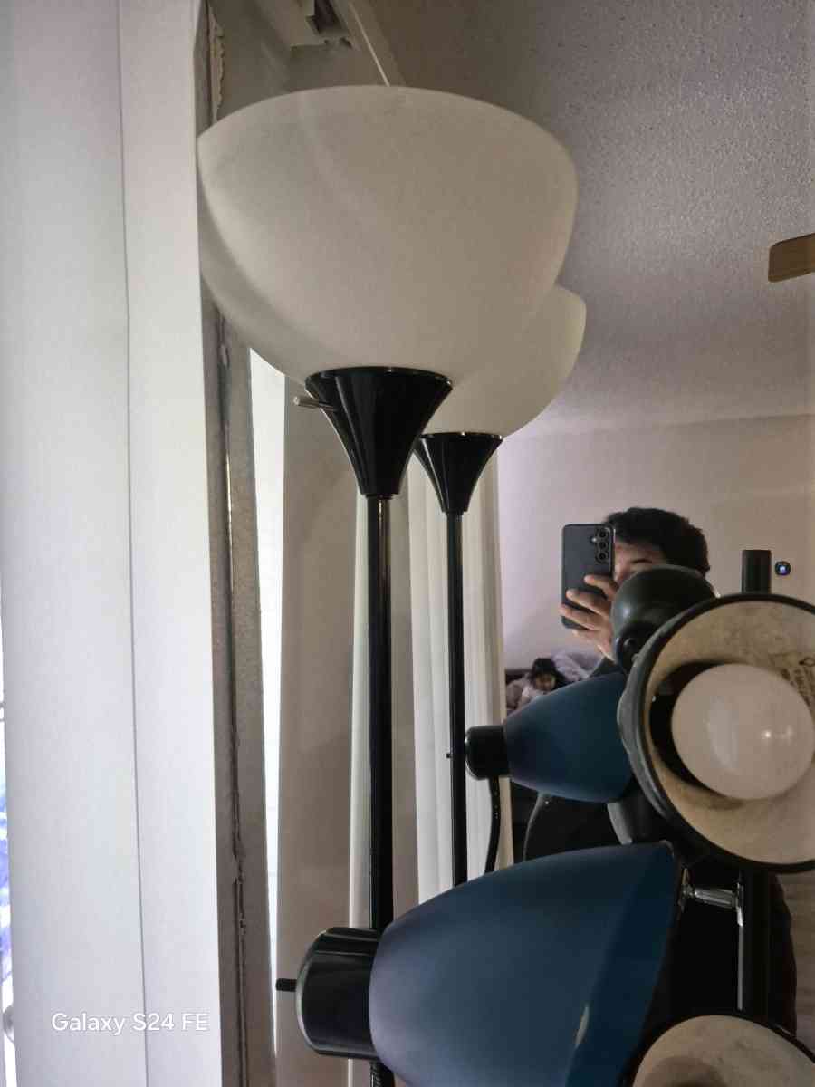 lamps - Austin, Texas