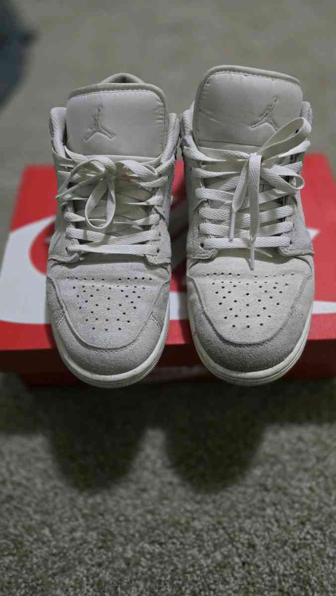 JORDAN - Sarasota, Florida