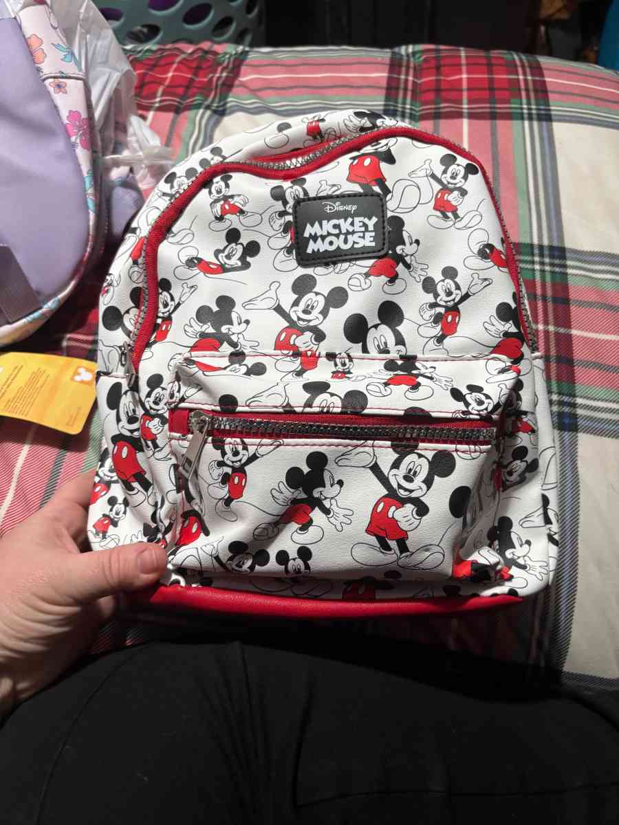 Disney bags - Zebulon, North Carolina - FleaMarketBay