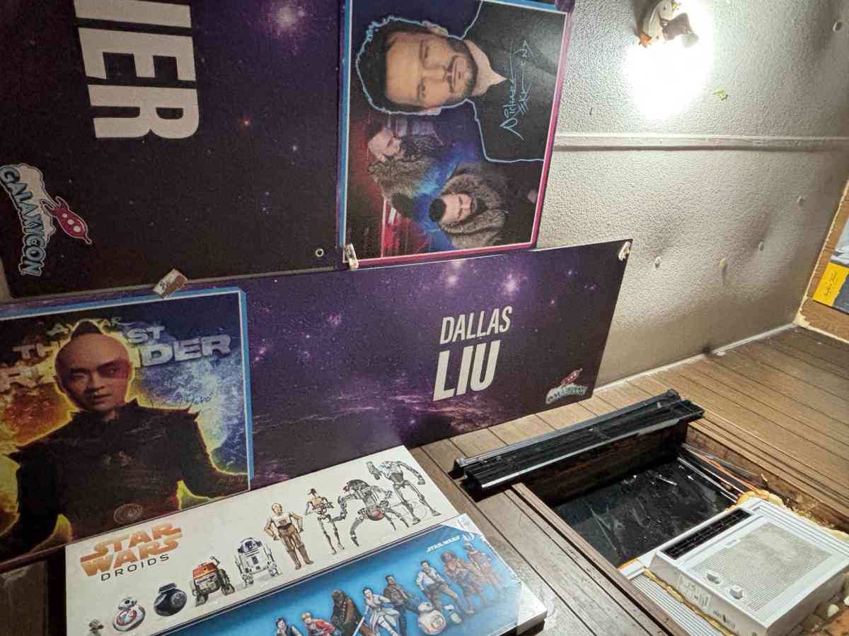 These are big panels signed by the actress or voice actor - Zebulon, North Carolina - FleaMarketBay